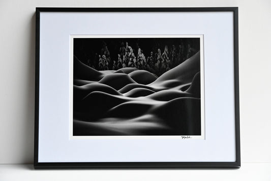 11x14 Metal Frame for Matted 8x10 Prints - Gallery Pickup Only