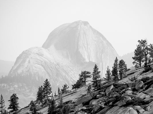 Half Dome from Olmstead Point 15x20 Limited Print