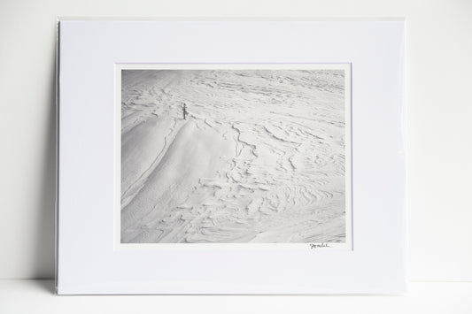 Small Tree in Big Wind on Big Snow Mountain Matted 8x10 Print