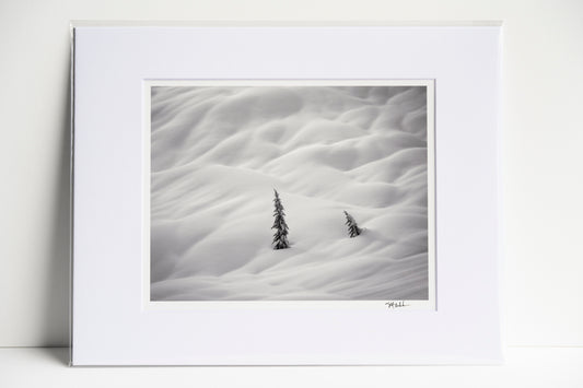 Trees in Waves of Snow on Big Snow Mountain Matted 8x10 Print