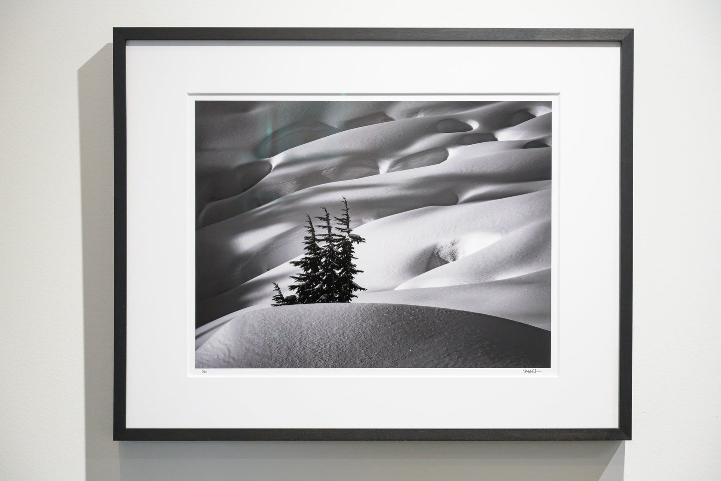 Mountain Hemlock Stand above Source Lake 15x20 Limited Print