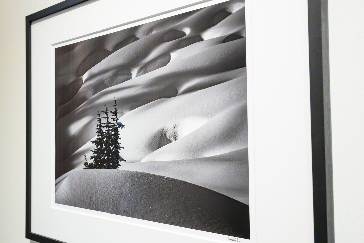 Mountain Hemlock Stand above Source Lake 15x20 Limited Print